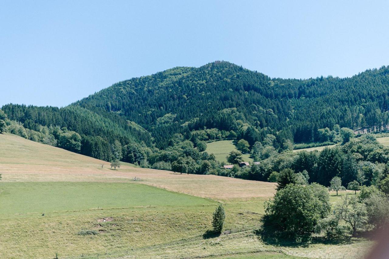 Rustikale 3 Zi.-FeWo Nähe Freiburg 70qm Simonswald Exterior foto